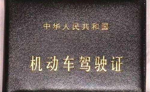  开封车管所认可的驾照翻译公司